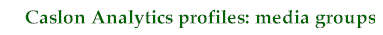 title for media groups profile